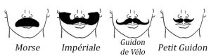 moustache-types